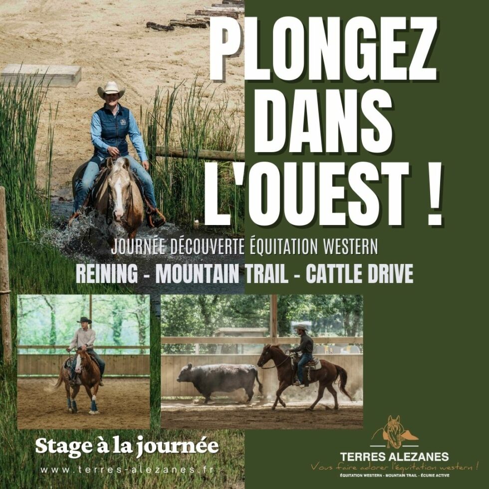 Journée découverte Equitation western Terres Alezanes