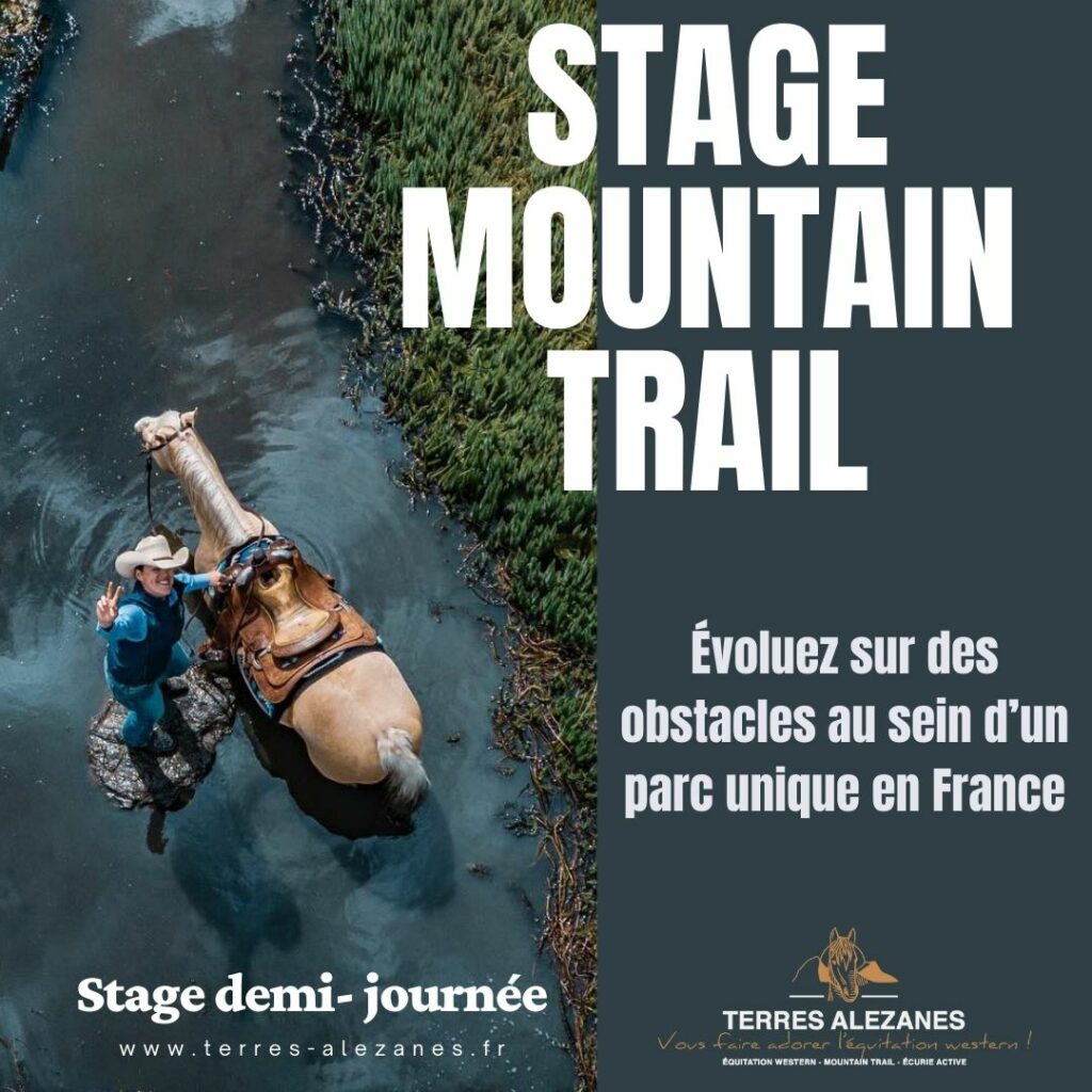 Stage Mountain Trail