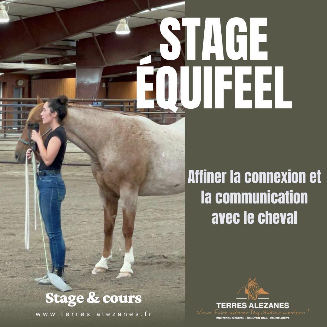 STAGE EQUIFEEL