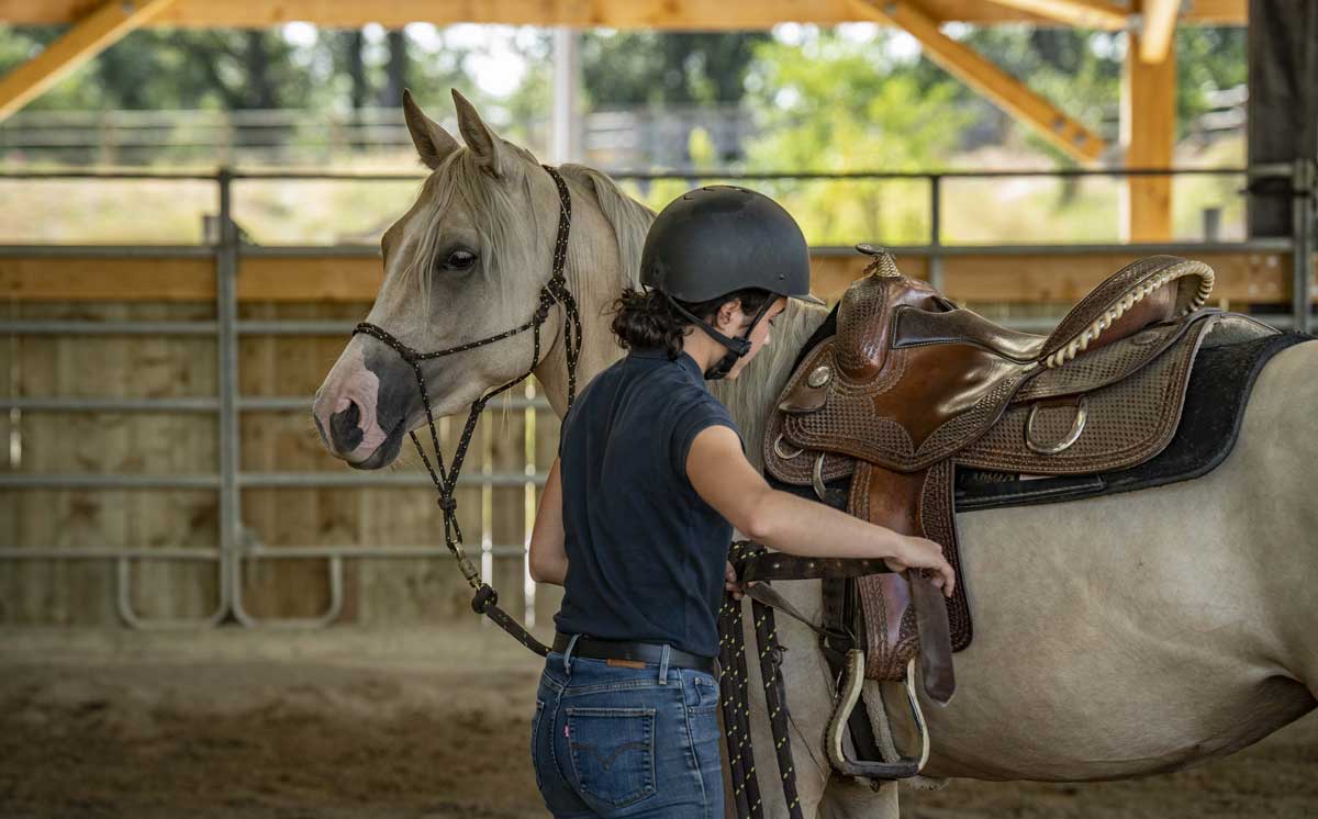 equitation_etho Terres Alezanes, équitation éthologique