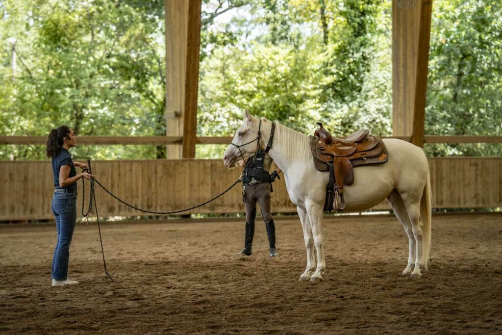 Terres Alezanes, équitation éthologique