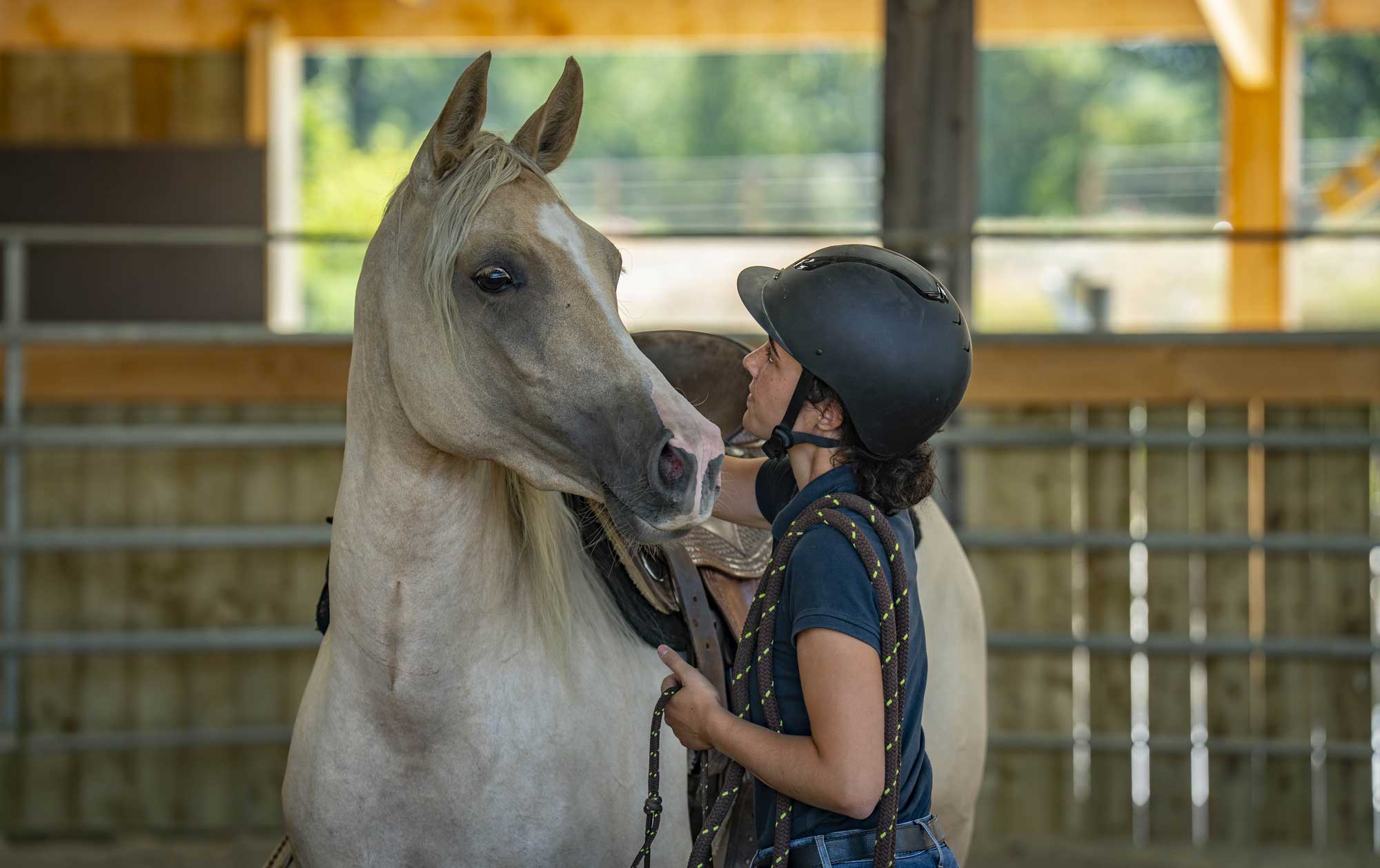 Terres Alezanes, équitation éthologique