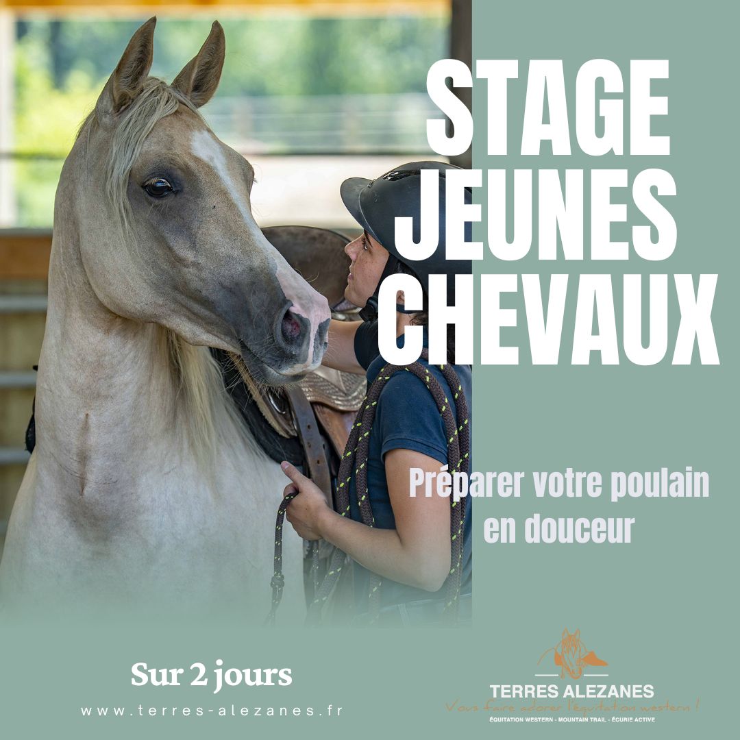 STAGE JEUNES CHEVAUX