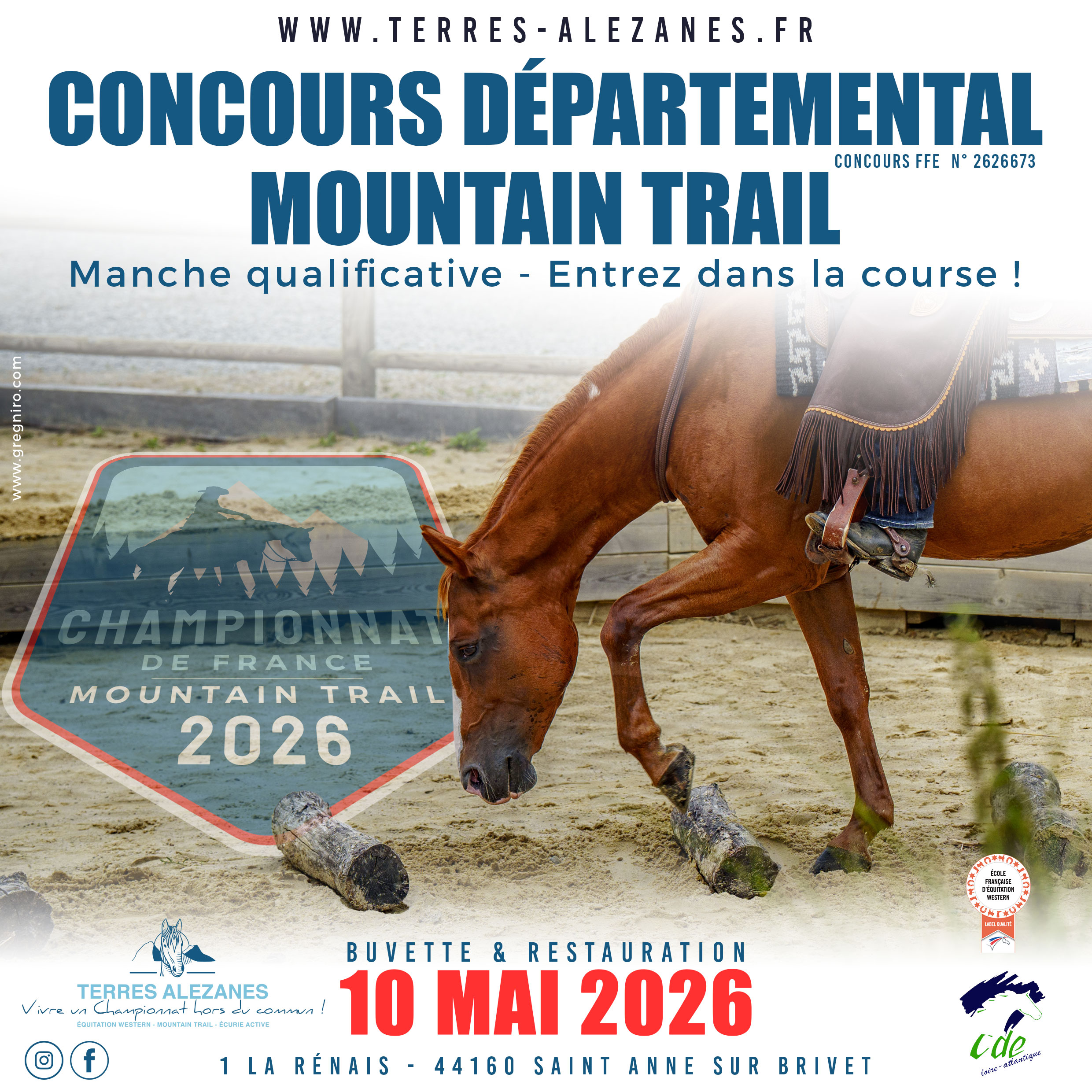 concours-mt-mai STAGE JEUNES CHEVAUX